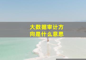 大数据审计方向是什么意思