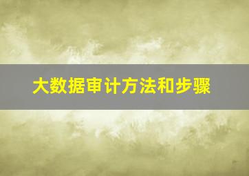 大数据审计方法和步骤