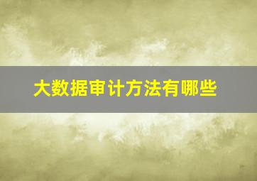 大数据审计方法有哪些