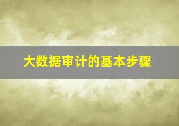 大数据审计的基本步骤