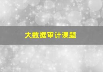 大数据审计课题