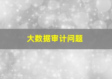 大数据审计问题