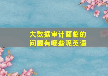 大数据审计面临的问题有哪些呢英语