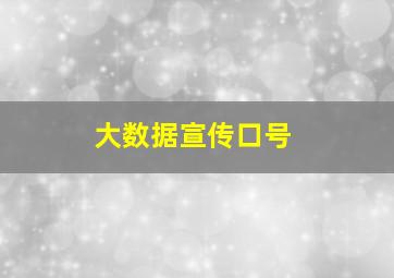 大数据宣传口号