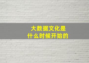 大数据文化是什么时候开始的