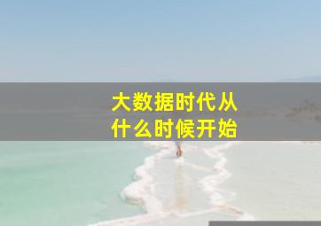 大数据时代从什么时候开始