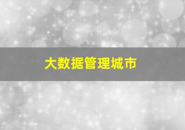 大数据管理城市