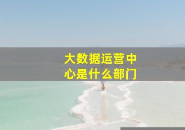 大数据运营中心是什么部门