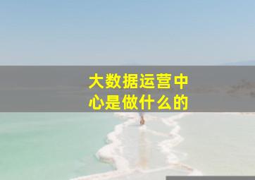 大数据运营中心是做什么的