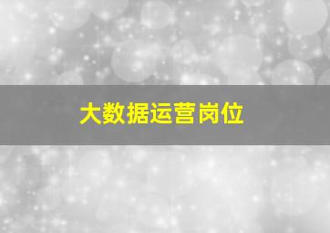 大数据运营岗位