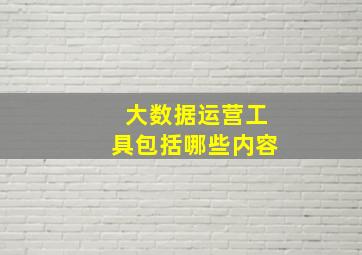 大数据运营工具包括哪些内容