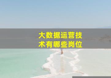 大数据运营技术有哪些岗位