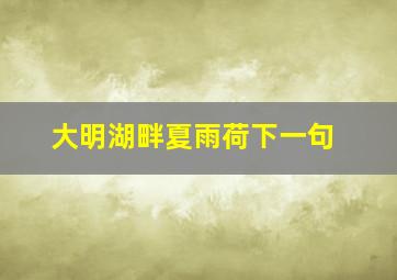 大明湖畔夏雨荷下一句