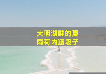 大明湖畔的夏雨荷内涵段子