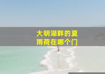 大明湖畔的夏雨荷在哪个门