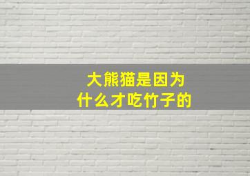 大熊猫是因为什么才吃竹子的