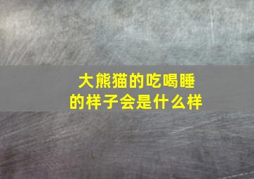 大熊猫的吃喝睡的样子会是什么样