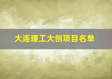 大连理工大创项目名单