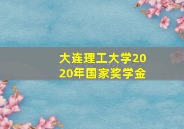 大连理工大学2020年国家奖学金