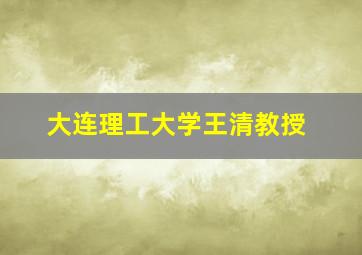 大连理工大学王清教授