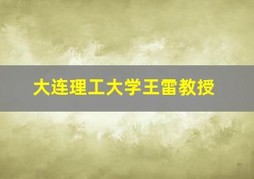 大连理工大学王雷教授