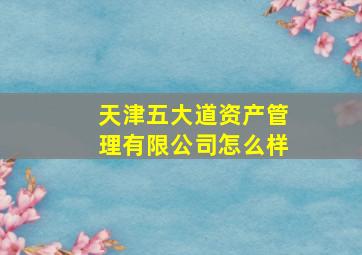 天津五大道资产管理有限公司怎么样