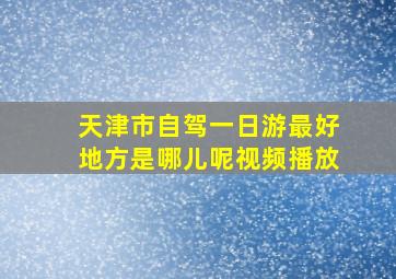 天津市自驾一日游最好地方是哪儿呢视频播放