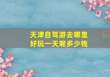 天津自驾游去哪里好玩一天呢多少钱