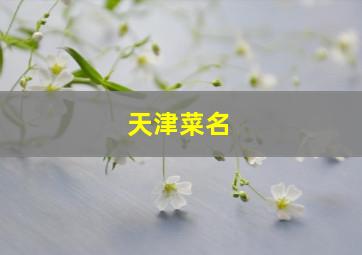 天津菜名