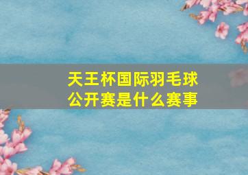 天王杯国际羽毛球公开赛是什么赛事