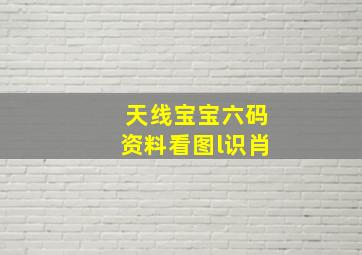 天线宝宝六码资料看图l识肖