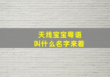 天线宝宝粤语叫什么名字来着