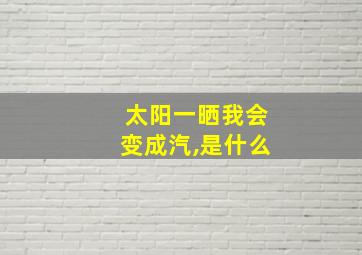 太阳一晒我会变成汽,是什么