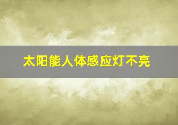 太阳能人体感应灯不亮