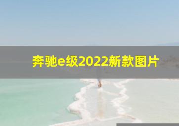 奔驰e级2022新款图片