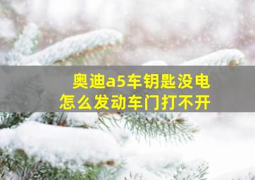 奥迪a5车钥匙没电怎么发动车门打不开