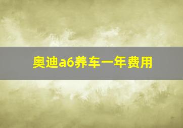 奥迪a6养车一年费用