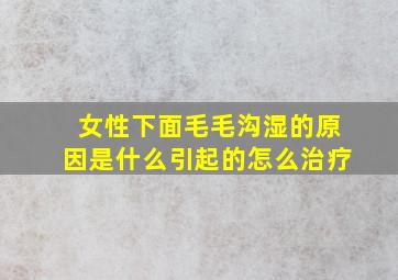 女性下面毛毛沟湿的原因是什么引起的怎么治疗