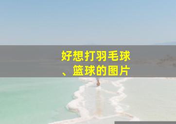 好想打羽毛球、篮球的图片