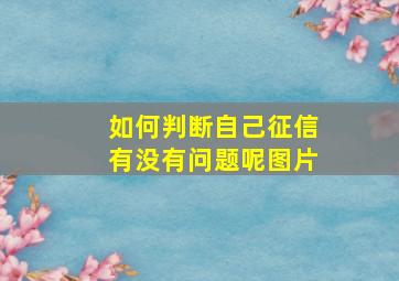 如何判断自己征信有没有问题呢图片