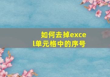 如何去掉excel单元格中的序号