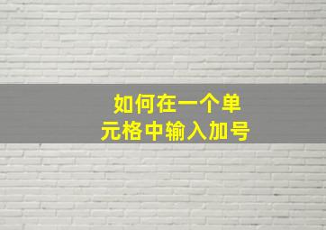 如何在一个单元格中输入加号