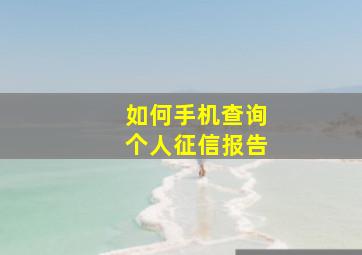 如何手机查询个人征信报告