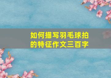 如何描写羽毛球拍的特征作文三百字