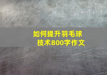 如何提升羽毛球技术800字作文