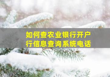 如何查农业银行开户行信息查询系统电话