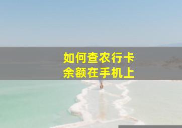 如何查农行卡余额在手机上