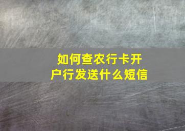 如何查农行卡开户行发送什么短信