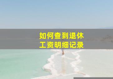 如何查到退休工资明细记录