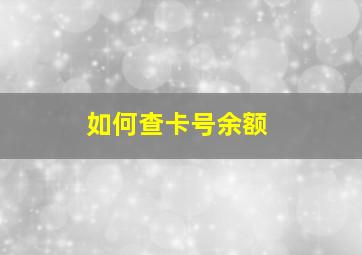 如何查卡号余额